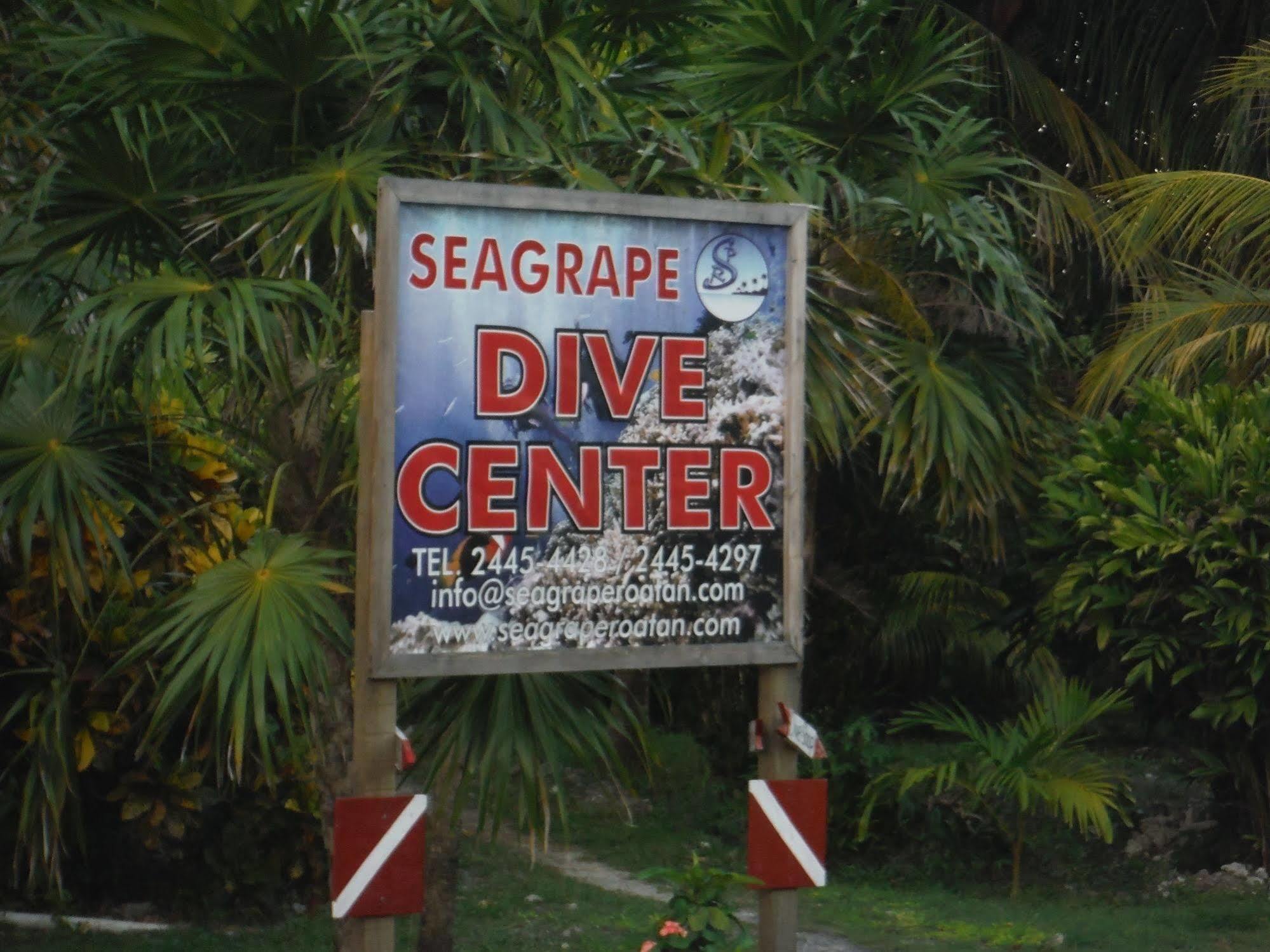 Seagrape Plantation Resort & Dive Center West End Kültér fotó